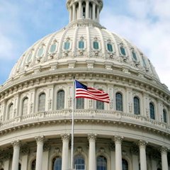 The U.S. Capitol dome